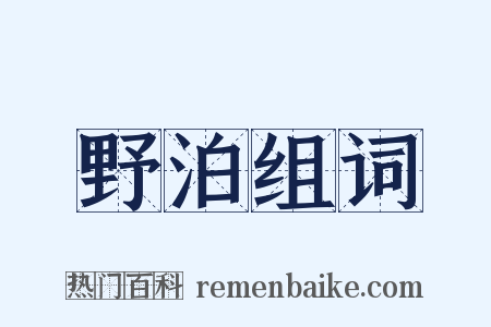 野泊组词是什么意思的图片